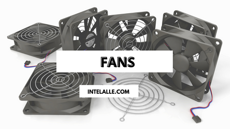 Fans