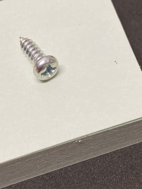 SWF PLUS SCREW (M3*L10)