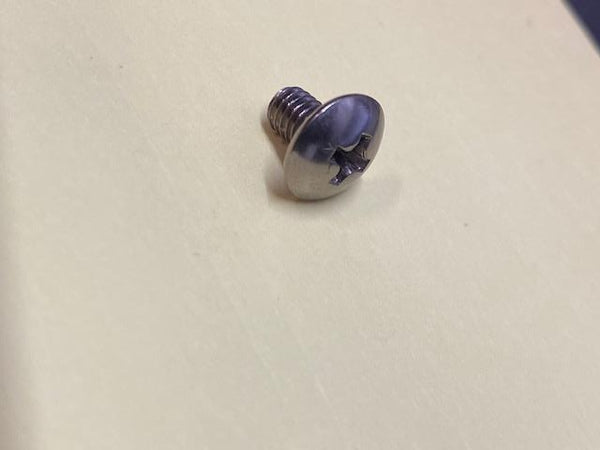 SWF SCREW (M4*L6)